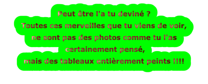 Peut être l'a tu deviné ?
Toutes ces merveilles que tu viens de voir, 
ne sont pas des photos comme tu l'as
 certainement pensé,
mais des tableaux entièrement peints !!!!
