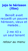 
jojo le hérisson
(film)

Benoît avait recueilli un pauvre hérisson, vieux et malade…

2 mn 43 s
un seul tenant

retour au menu












